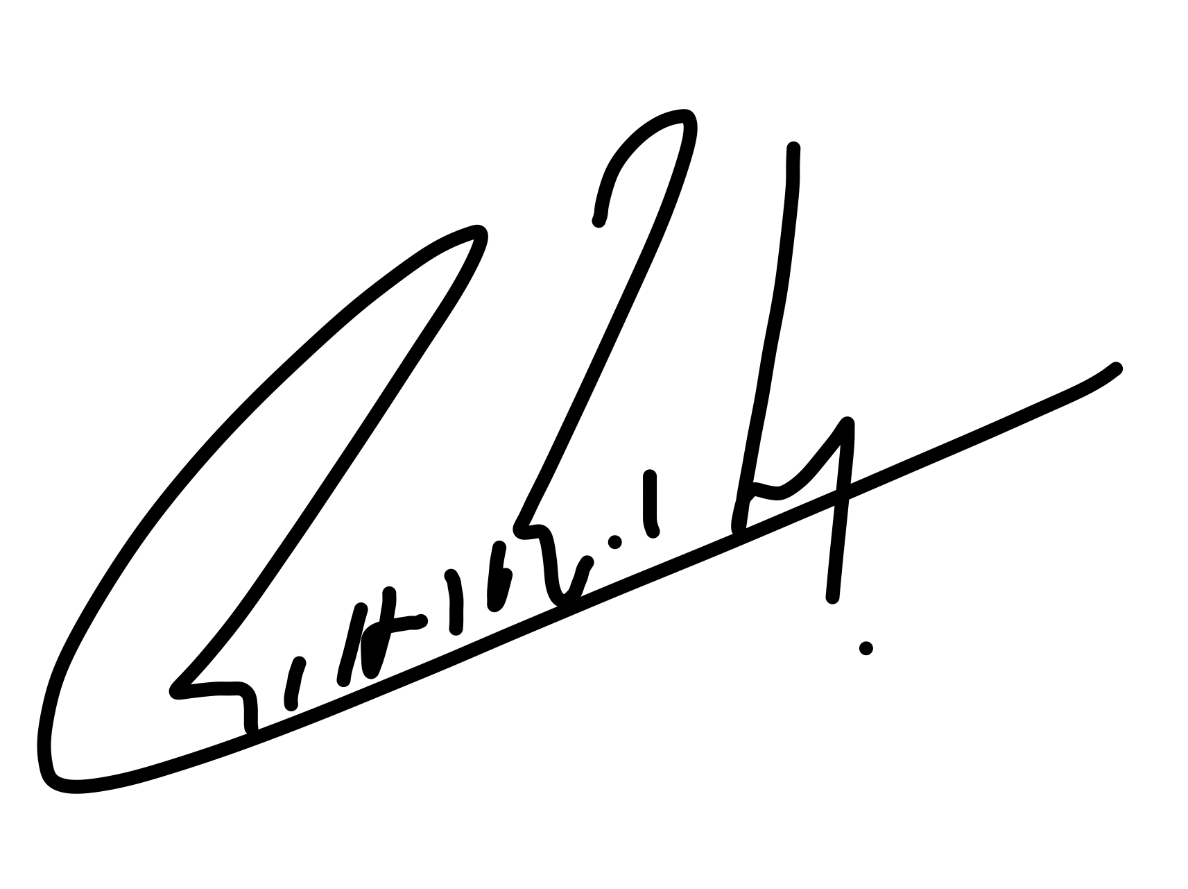 Ricardo pinhao