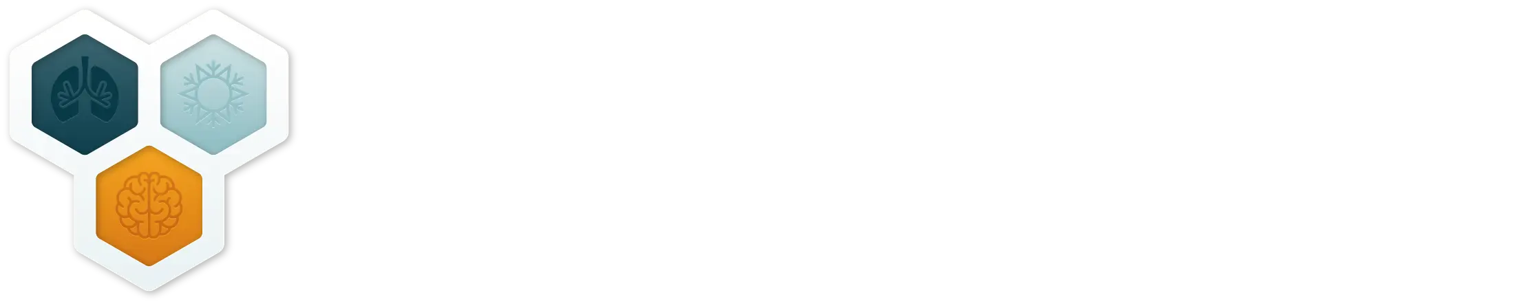 Wim hof certificado
