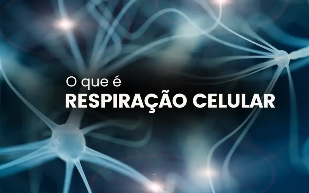 Respiração Celular