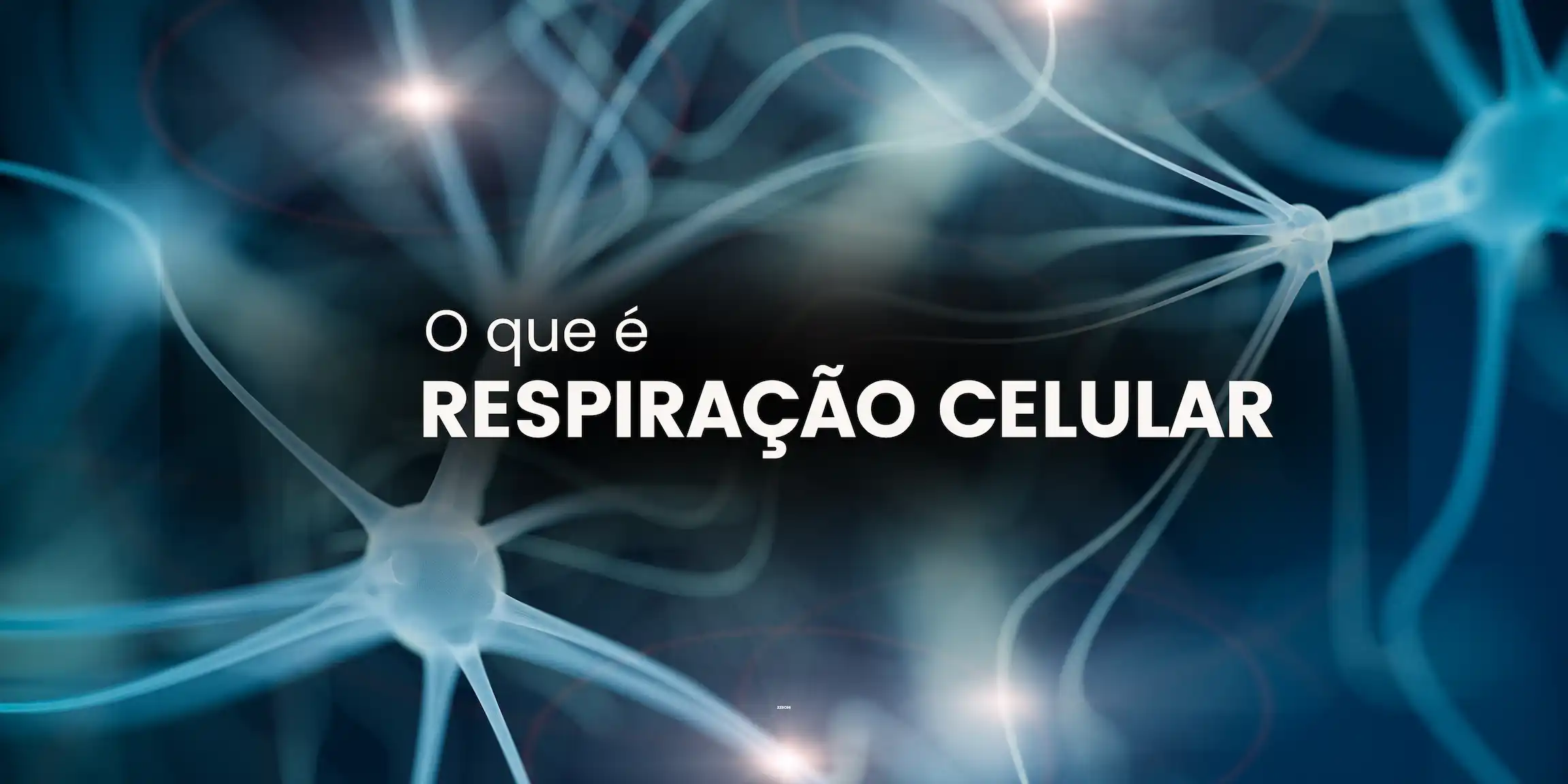 respiração celular