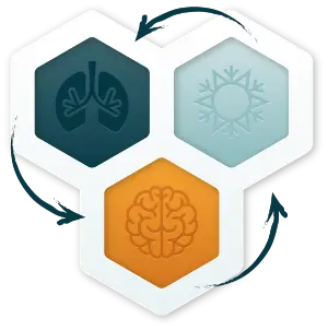three-pillars-of-wim-hof-method